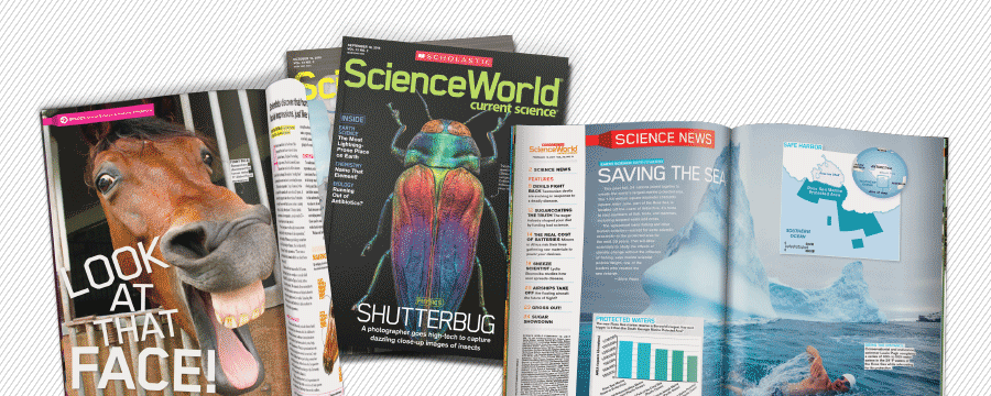 An assortment of Science World magazine spreads