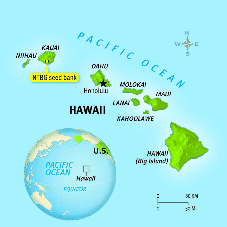 A map of Hawaii shows the location of the N T B G seed bank on Kauai Island.