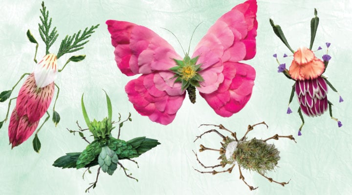 Beetles and a butterfly made from flowers and plant parts