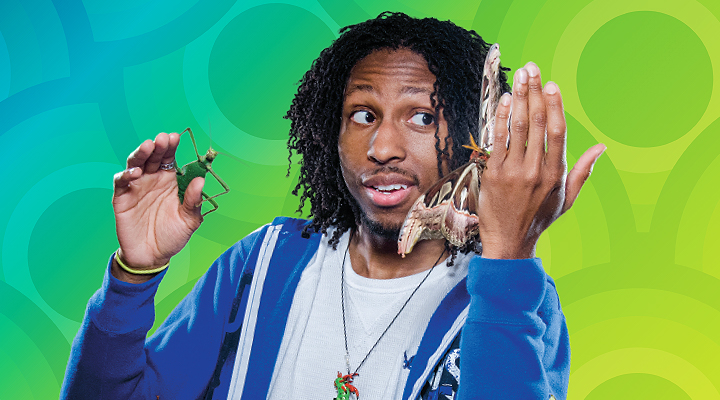 Image of a person holding a variety of different insects