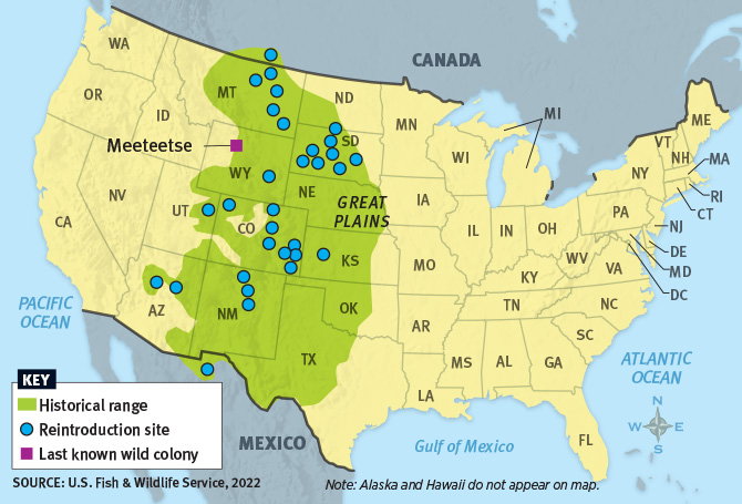 Map showing historical range, reintroduction sites, and last known ferret colony
