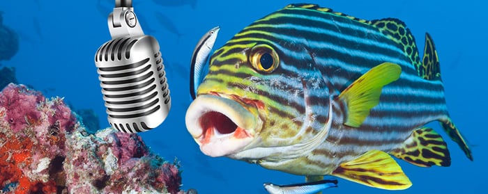 Image of a colorful striped fishing speaking into a microphone while underwater