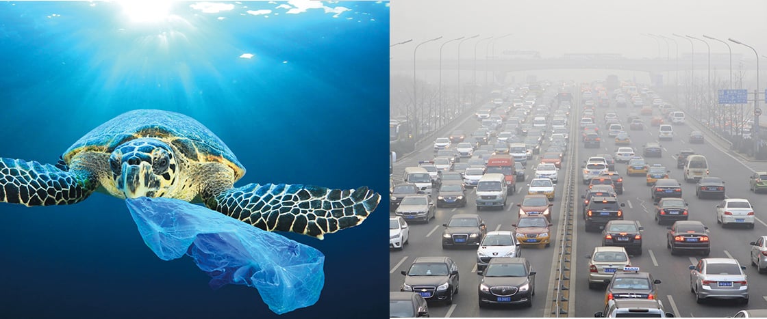 Image of sea turtle with plastic in its mouth and image of cars in smoggy traffic