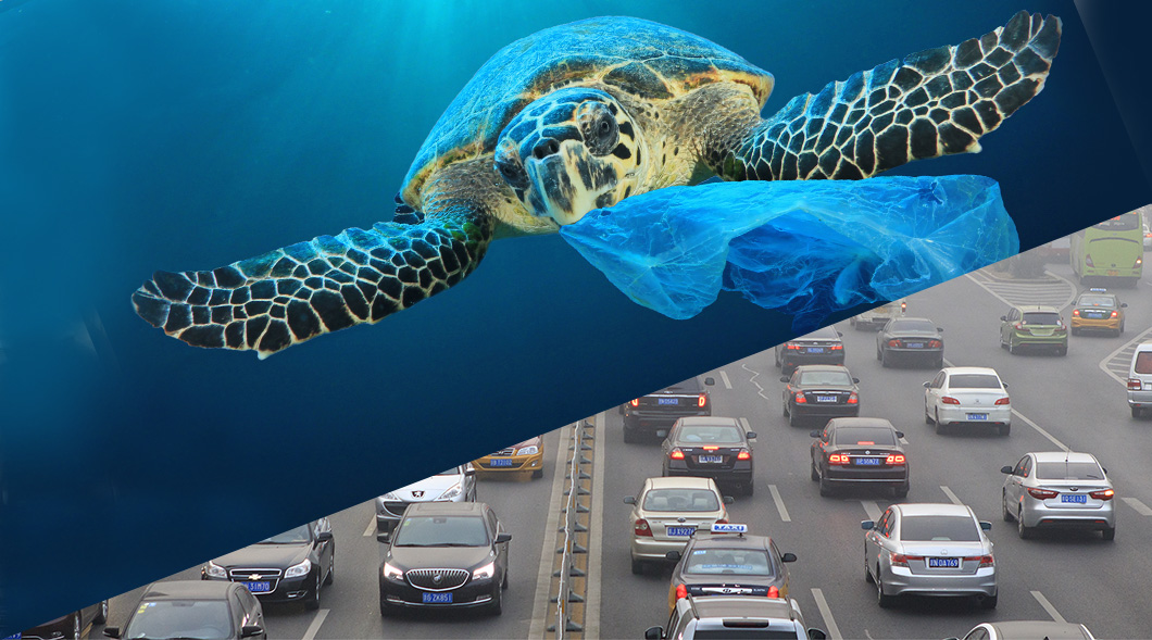 Image of sea turtle with plastic in its mouth and image of cars in smoggy traffic