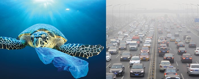 Image of sea turtle with plastic in its mouth and image of cars in smoggy traffic