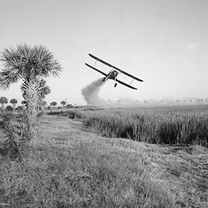 Black & white photo of a plane spraying insecticides over land