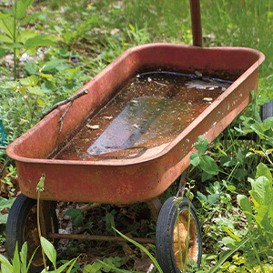 Photo of a wagon filled with standing water