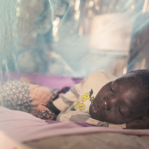 Photo of a child sleeping in a bed surrounded by mosquito nets