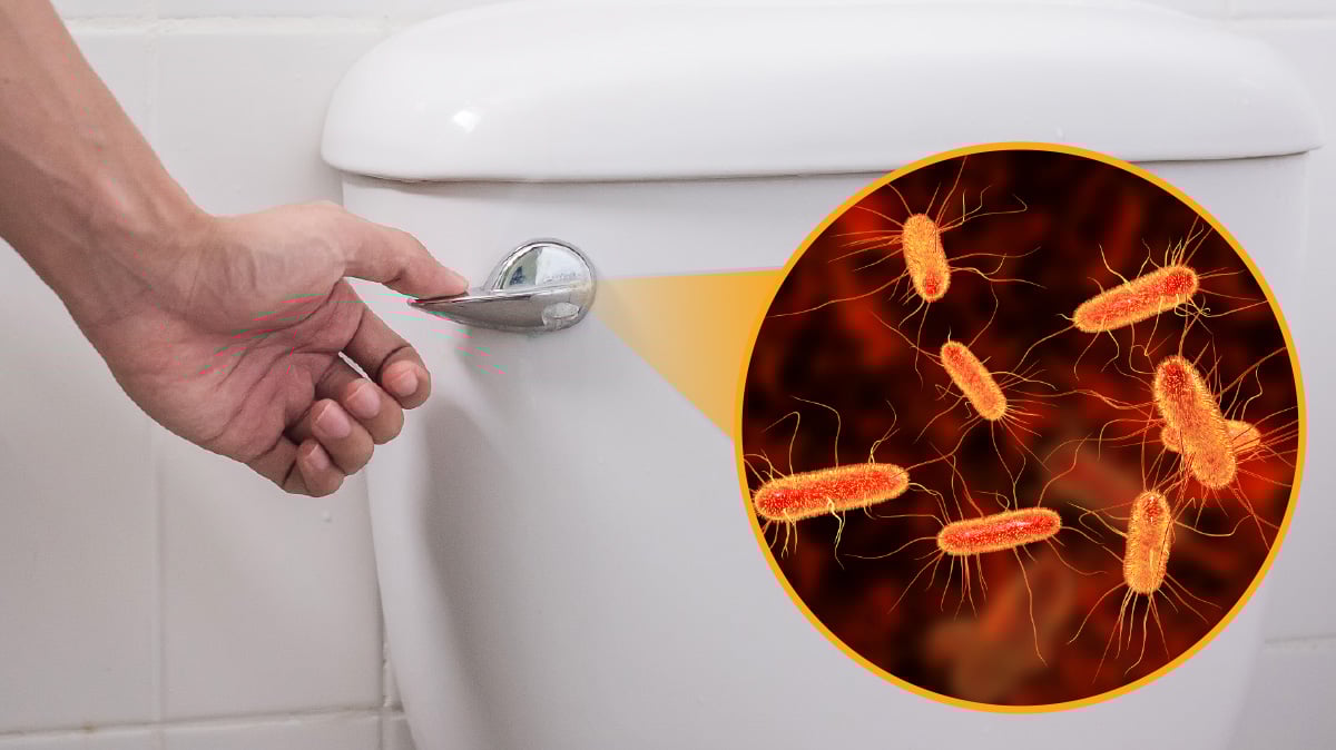 Photo showing the bacteria on handle of toilet