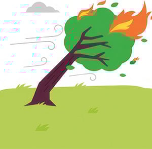 Illustration of a tree blowing in the wind and catching on fire