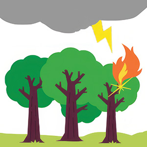 Illustration of lightning hitting a group of trees & one tree catching on fire