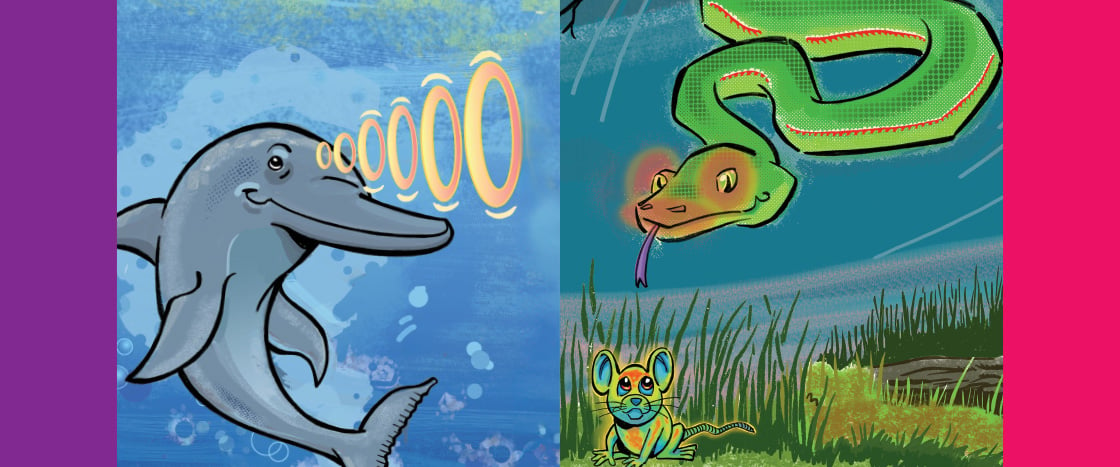 Illustration of dolphins with echolocation and snakes with special vision