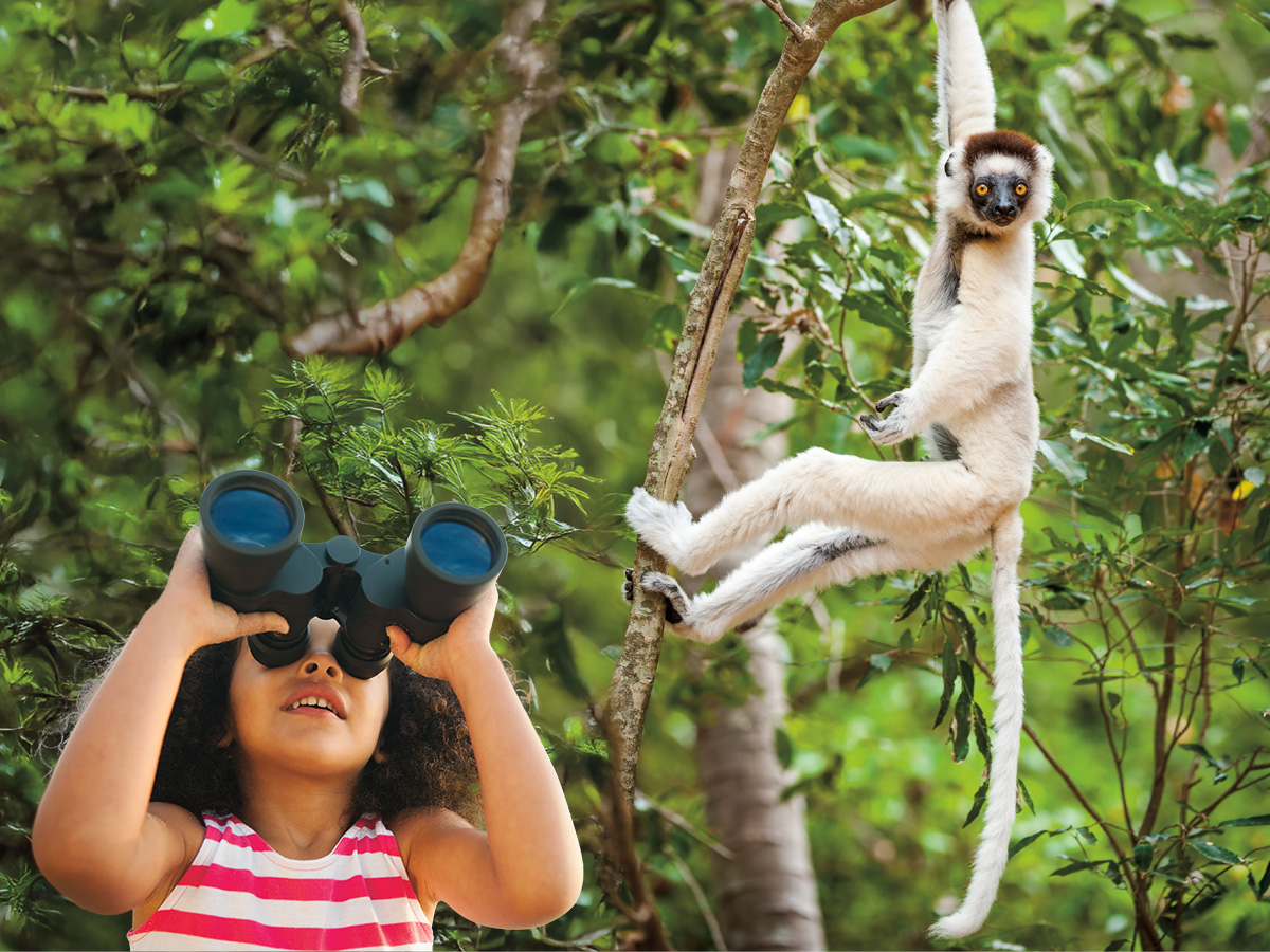 Image of child looking through binoculars while lemur is hanging from tree
