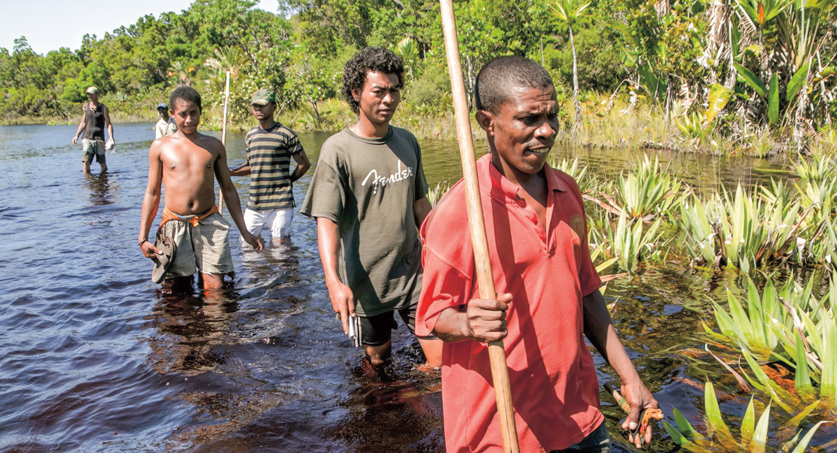 Image of people wading through water