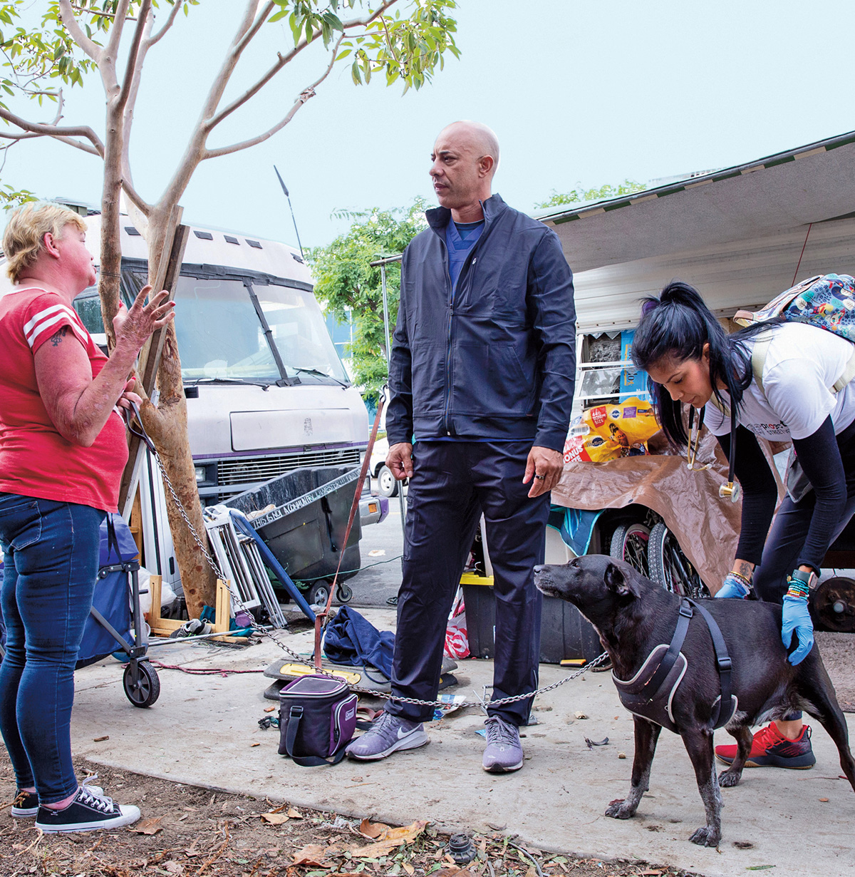 Photo of veterinarian checking health of homeless dog