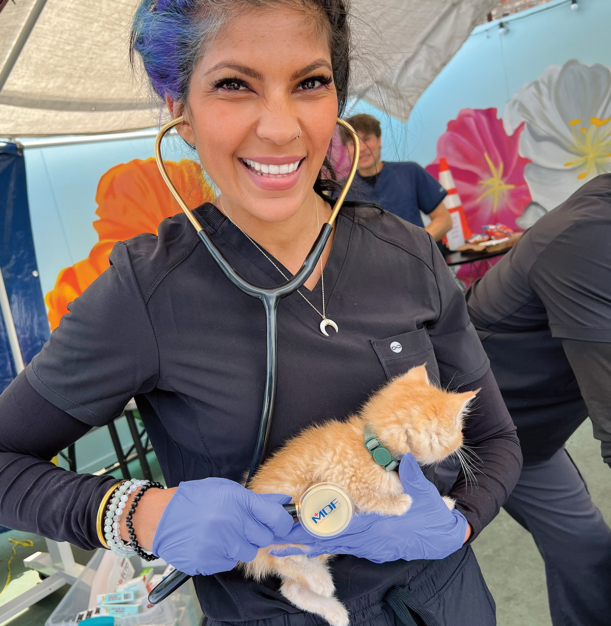 Photo of veterinarian checking health of homeless cat