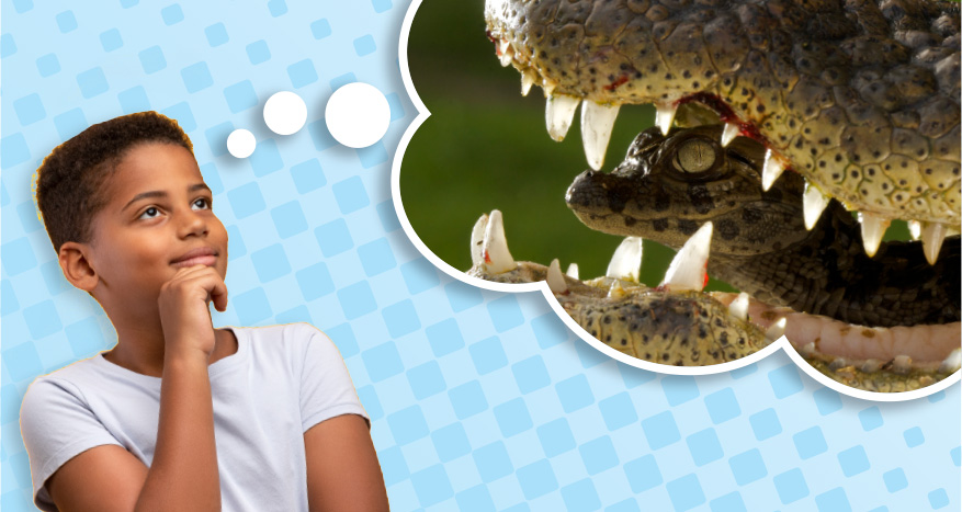 Image of kid thinking about a smaller alligator in the mouth of a larger one