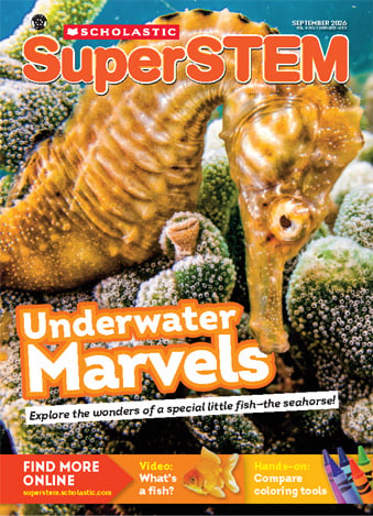 Cover of Scholastic SuperSTEM, a seahorse clings to coral with the headline Underwater Marvels