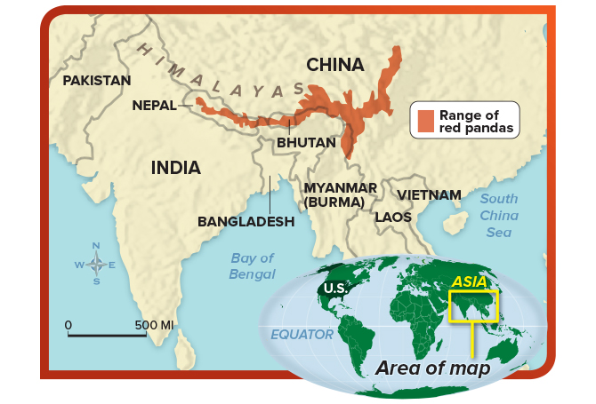 World map of Asia, highlighting where red pandas live