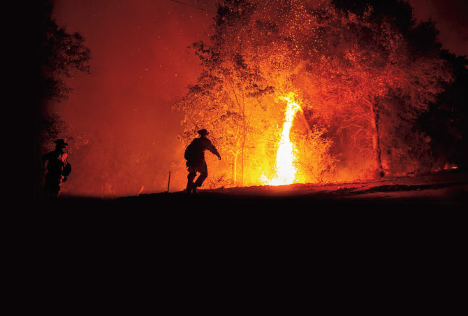 Firefighters rushing to put out a forest fire
