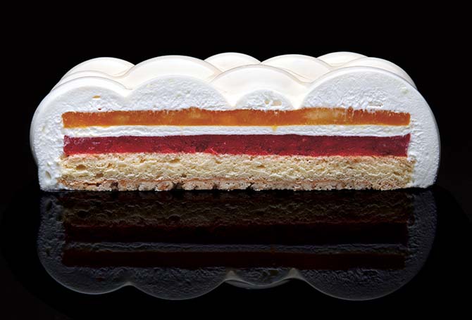 Cross section of a short geometric cake