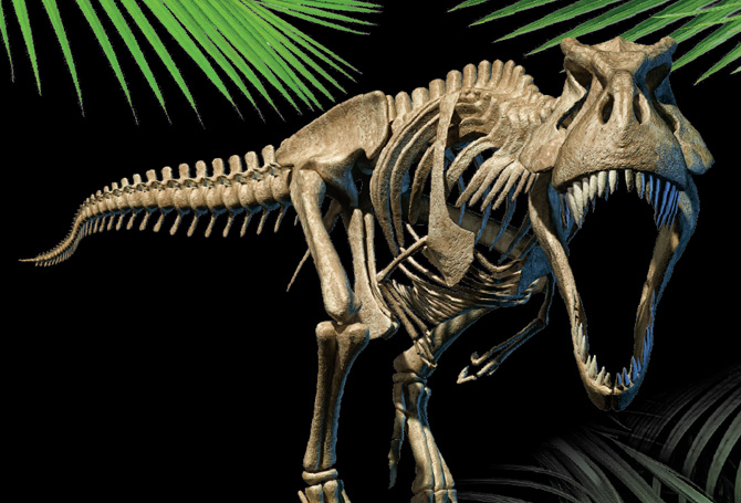T. Rex skeleton