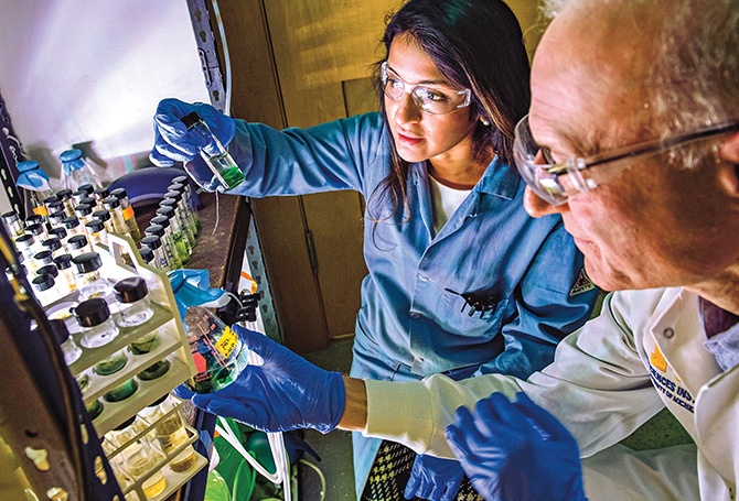 Two scientists in a lab collecting microbes