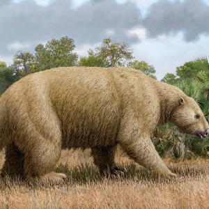 Illustration of a giant ground sloth