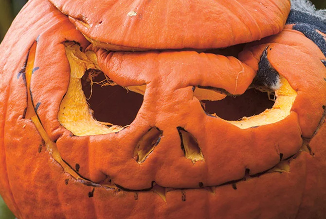A carved jack-o'-lantern collapses with wrinkled skin, blackened cut edges, & gray mold near one eye