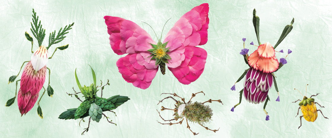 Several colorful bug sculptures made out of plant parts and flowers